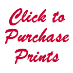 Click To Purchase